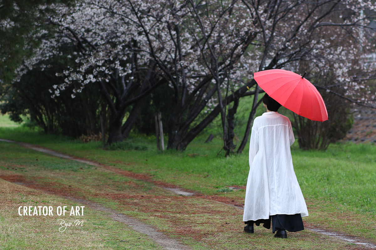 春の雨の日のポートレート撮影はチャンス 雨の日の写真はドラマチックな写真が撮れる
