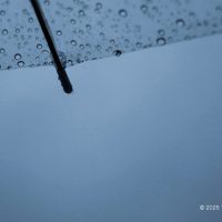 京都の写真家リョウが撮った雨の写真