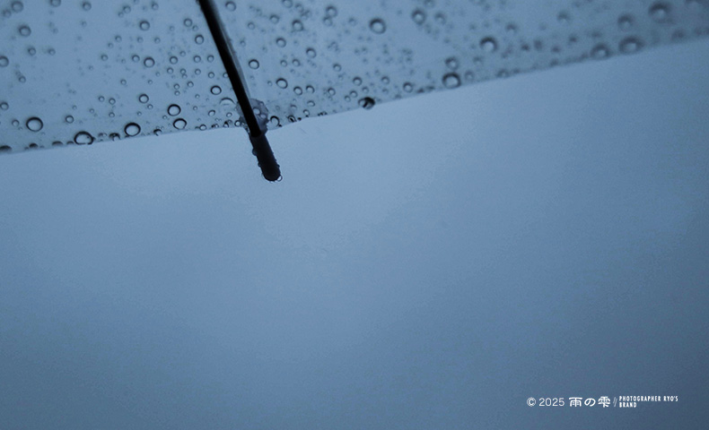 京都の写真家リョウが撮った雨の写真