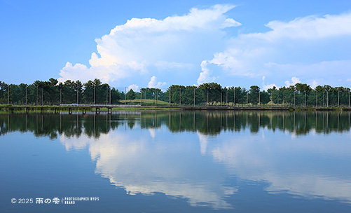 雨上がりの余韻