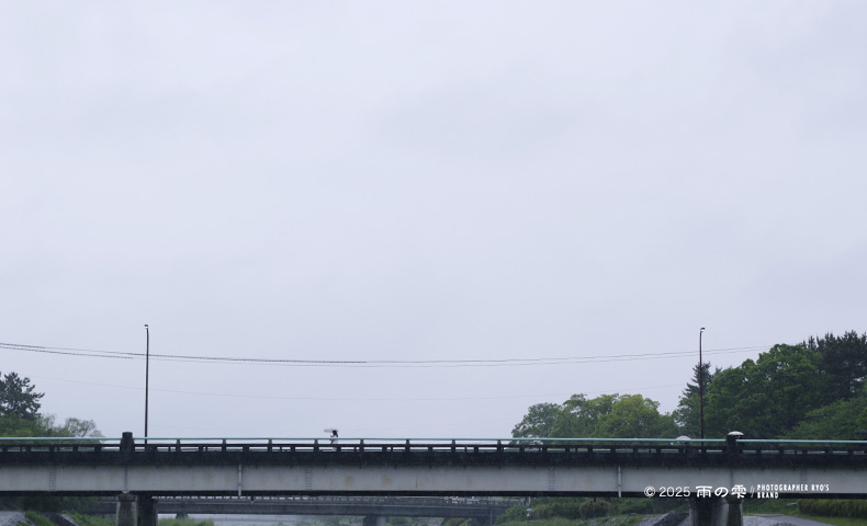 京都の雨の風景