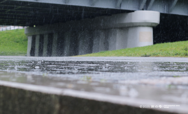 雨の風景